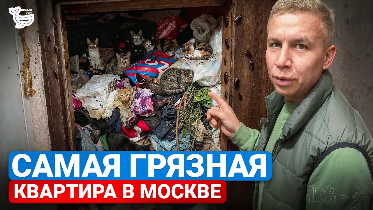 Полное видео о 