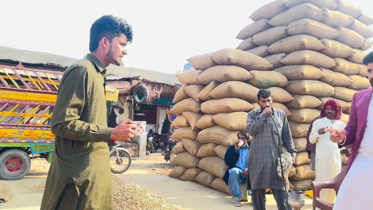 TODAY VISIT MUNGFALI UPDATES ((PEANUT)))GHALA MANDI FAISALABAD