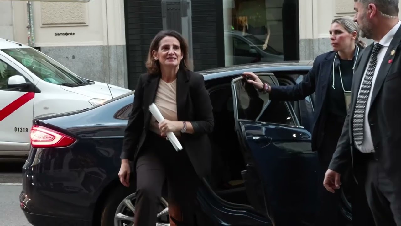 Elche limpia sus cauces ante la desidia de Teresa Ribera
