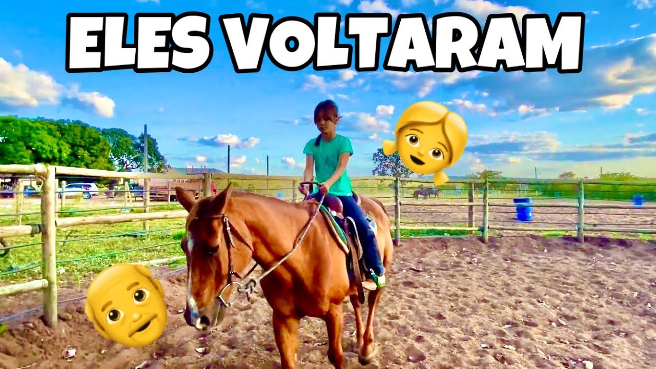 PRIMEIRA VEZ ANINHA TREINANDO COM DOC BOY - Nosso cavalo velhinho está recuperado