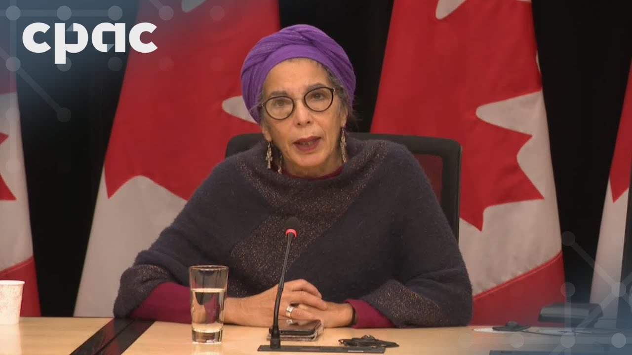 Activist group presents report on Canada&rsquo;s human rights obligations &ndash; December 10, 2025