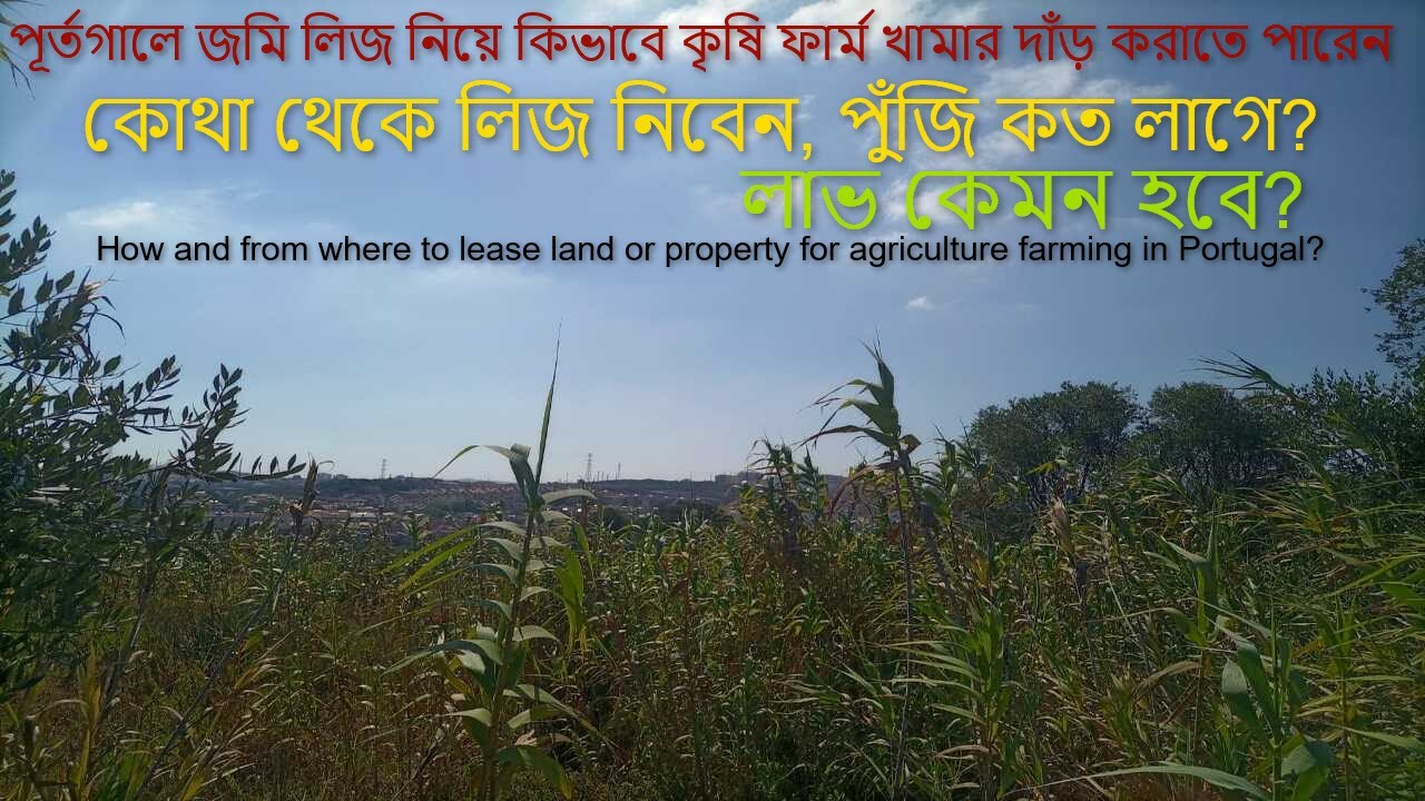 পূর্তগালে জমি লিজ নিয়ে কিভাবে কৃষি ফার্ম খামার দাঁড় করাতে পারেন, কোথা থেকে লিজ নিবেন, পুঁজি কত লাগে?