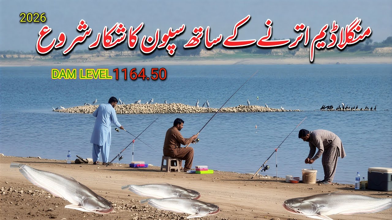 Mangla Dam Utarne Ke Sath Spoon Ka Shikar Shuru