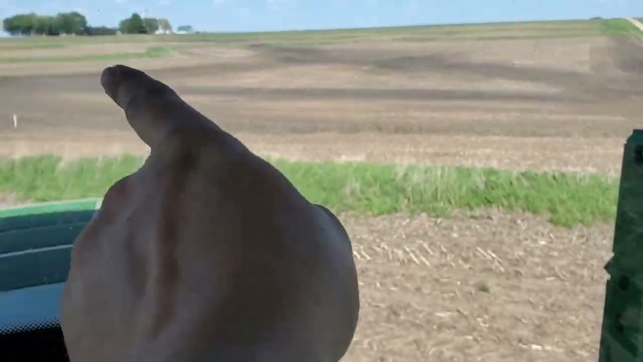 farm improvement plans &  frusterations