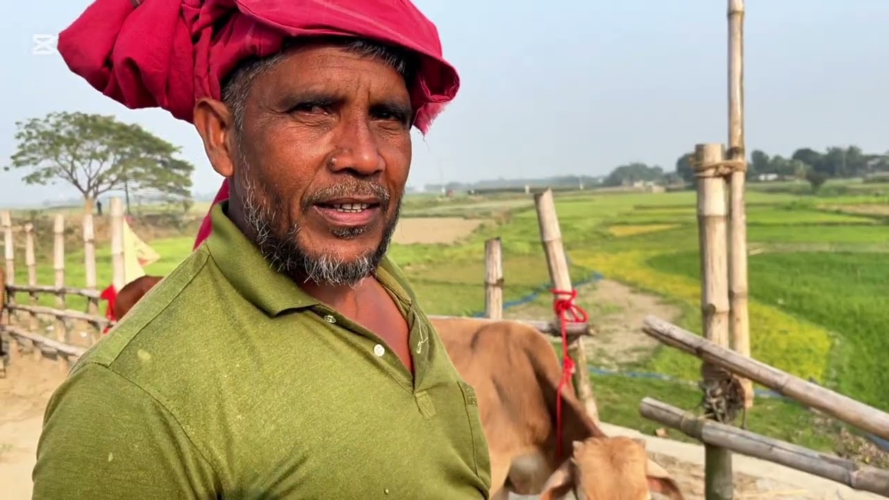 # আফজাল মন্ডলের গরুর হাট ফরিদপুর।
