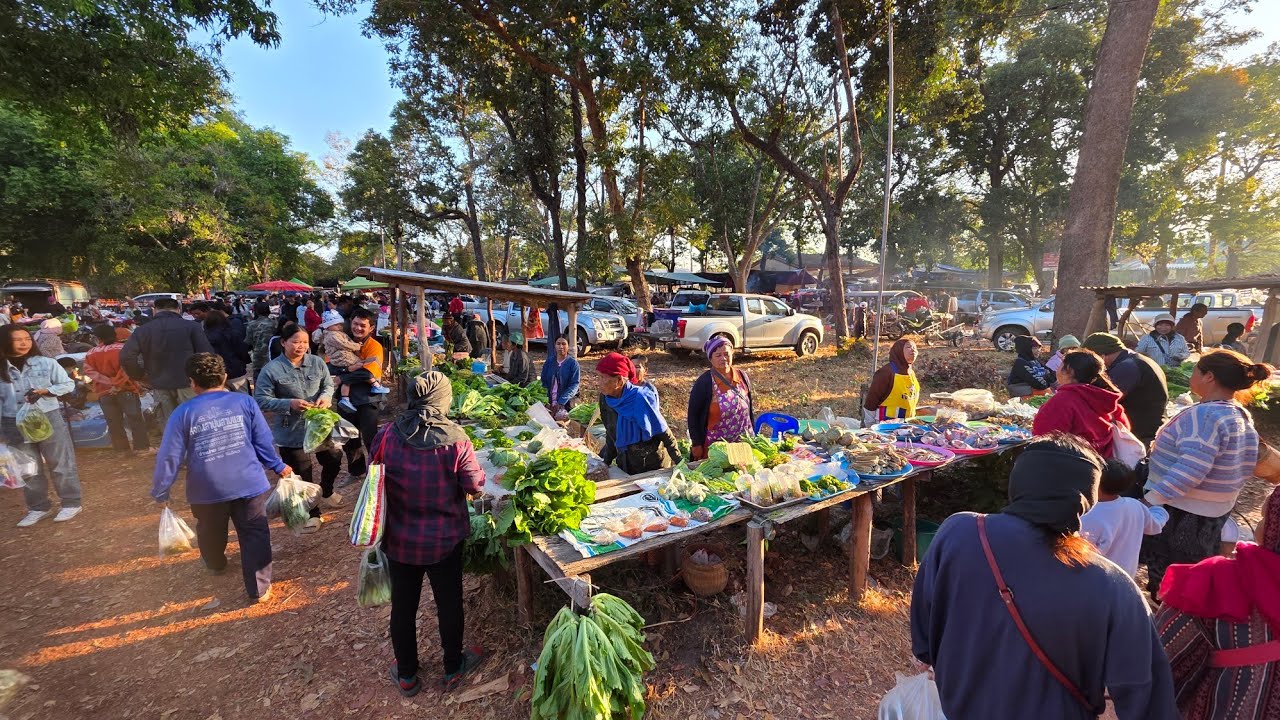 ตลาดเช้าวันอังคาร บ้านขุมคำ อำเภอกุดข้าวปุ้น อุบลราชธานี