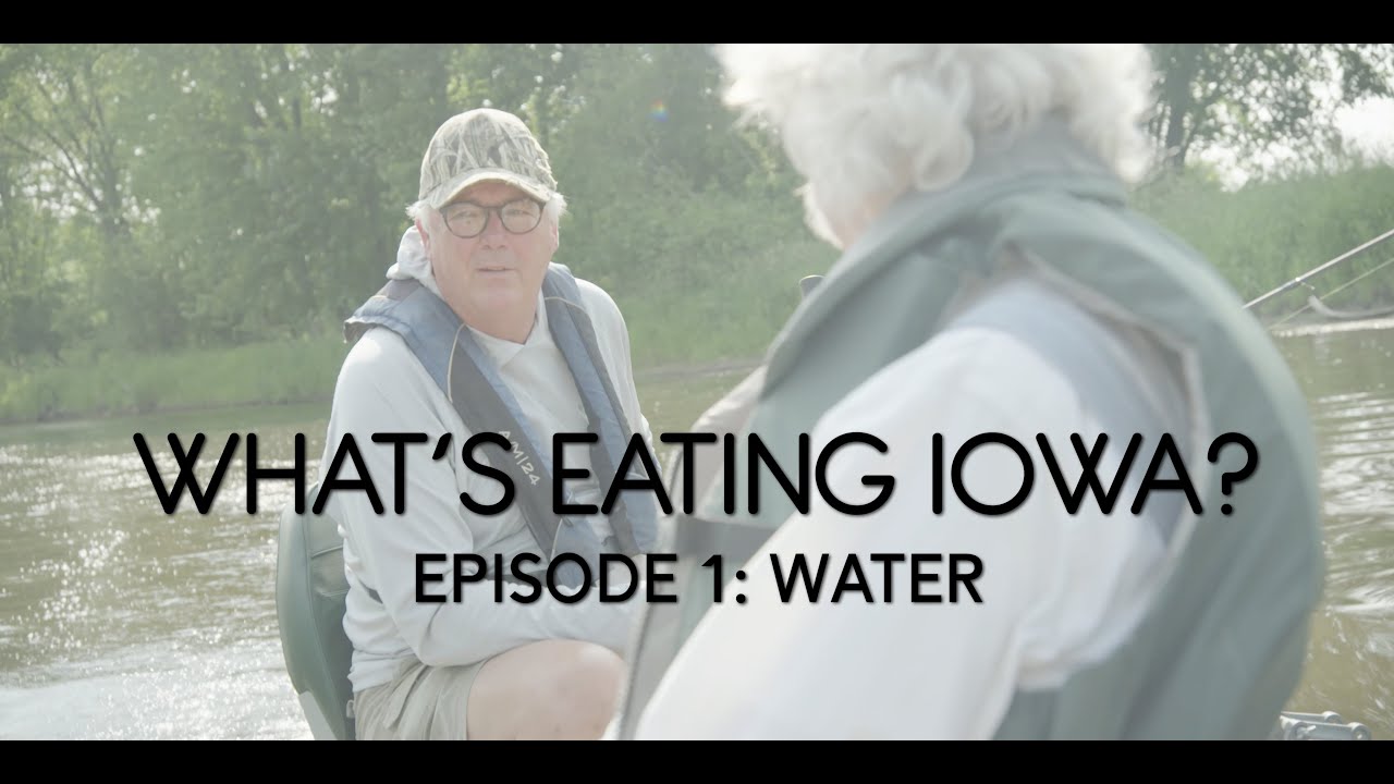 What's Eating Iowa: Episode 1 - Water