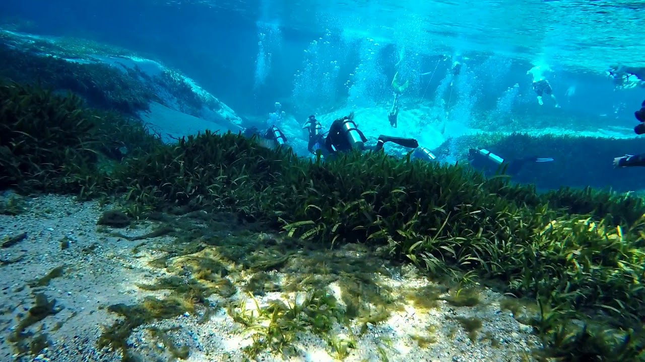 UCF Scientific Diving Course - Fall 2020