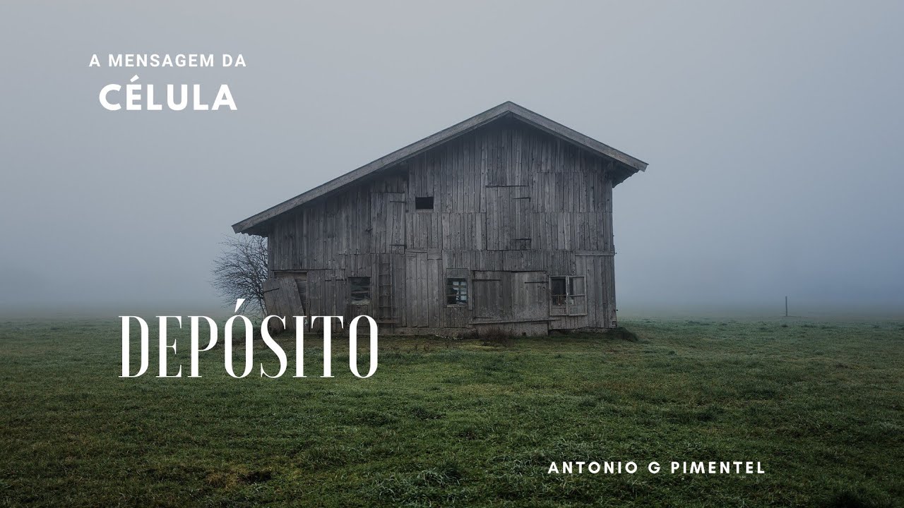 DEPÓSITO | A Mensagem da Célula
