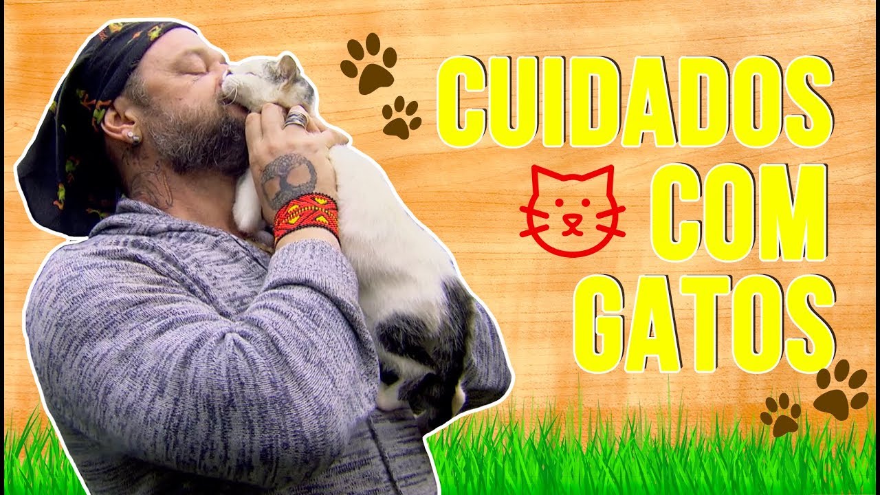 CUIDADOS COM GATOS | CONHEÇA O TETA | RICHARD RASMUSSEN