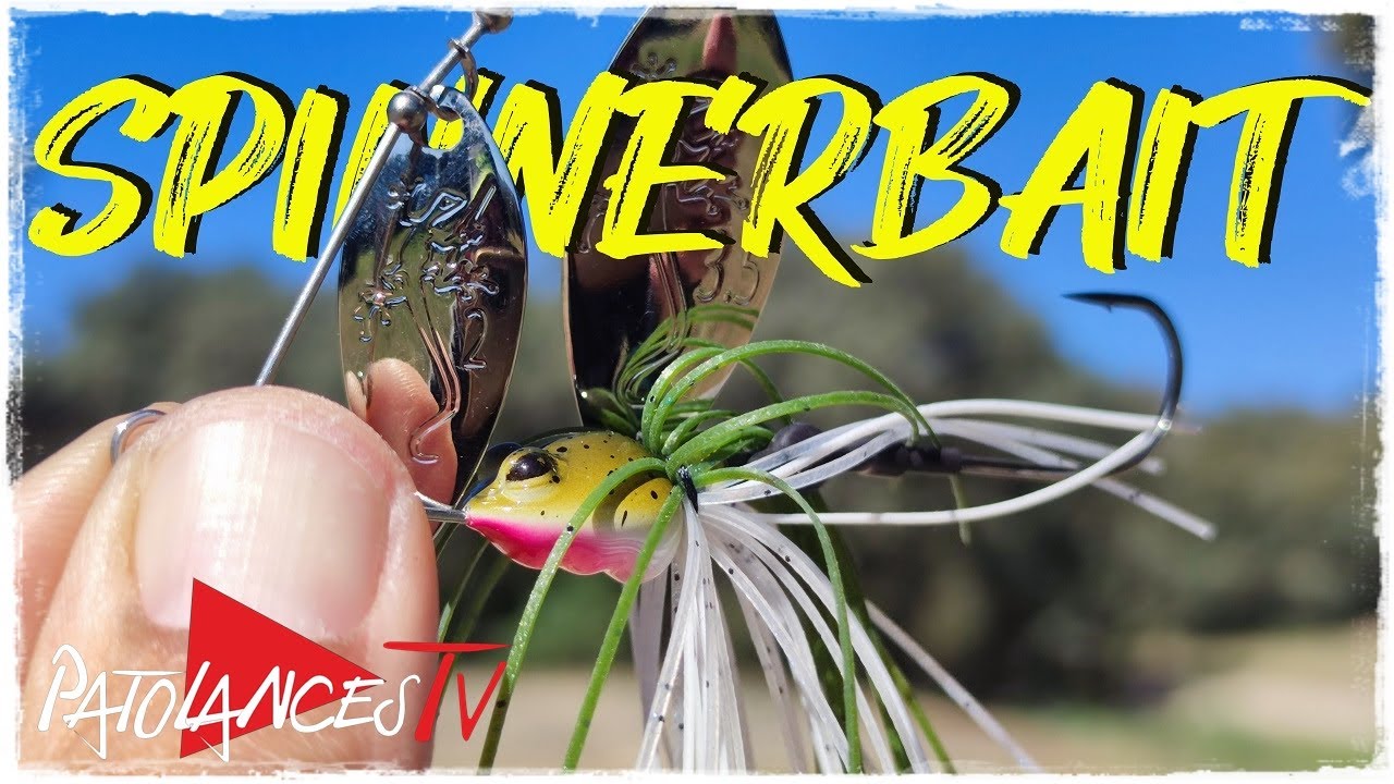 𝐏𝐞𝐬𝐜𝐚 𝐜𝐨𝐧 𝐒𝐏𝐈𝐍𝐍𝐄𝐑𝐁𝐀𝐈𝐓 🐋🔝. 𝐓𝐨𝐝𝐨 𝐥𝐨 𝐪𝐮𝐞 𝐝𝐞𝐛𝐞𝐬 𝐬𝐚𝐛𝐞𝐫 ✍️📋📌