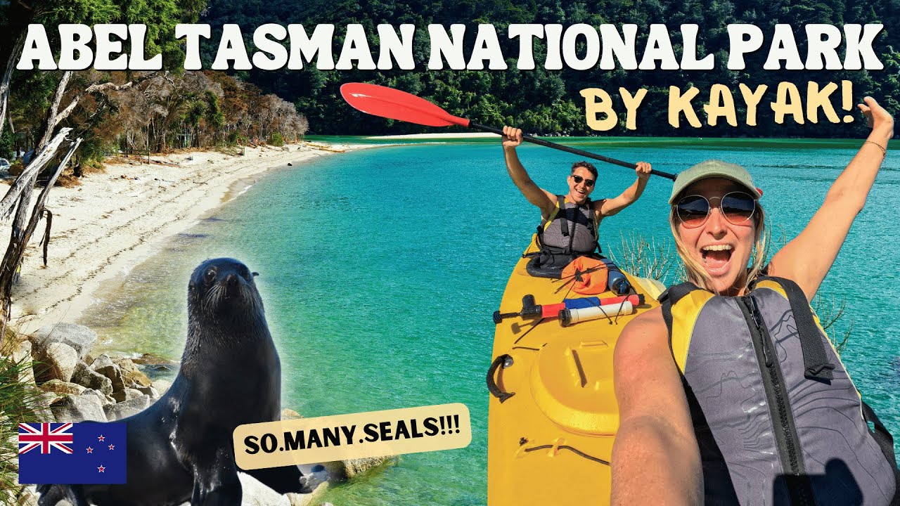 1-Day Kayaking in Abel Tasman National Park (HOW MUCH CAN WE SEE?)