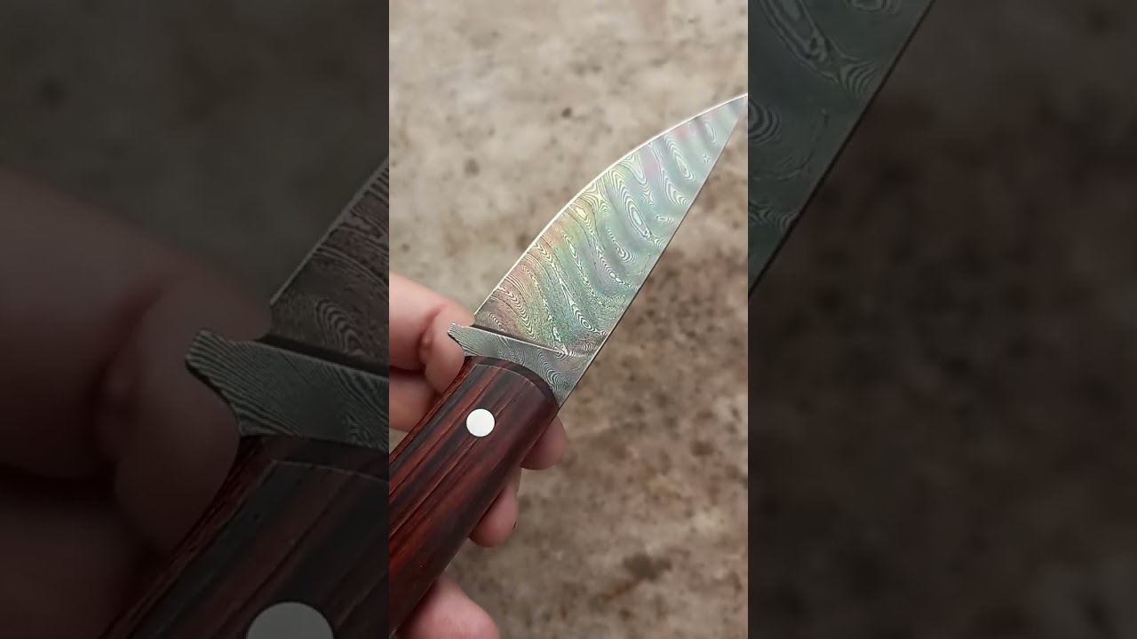 HUNTER FULL TANG