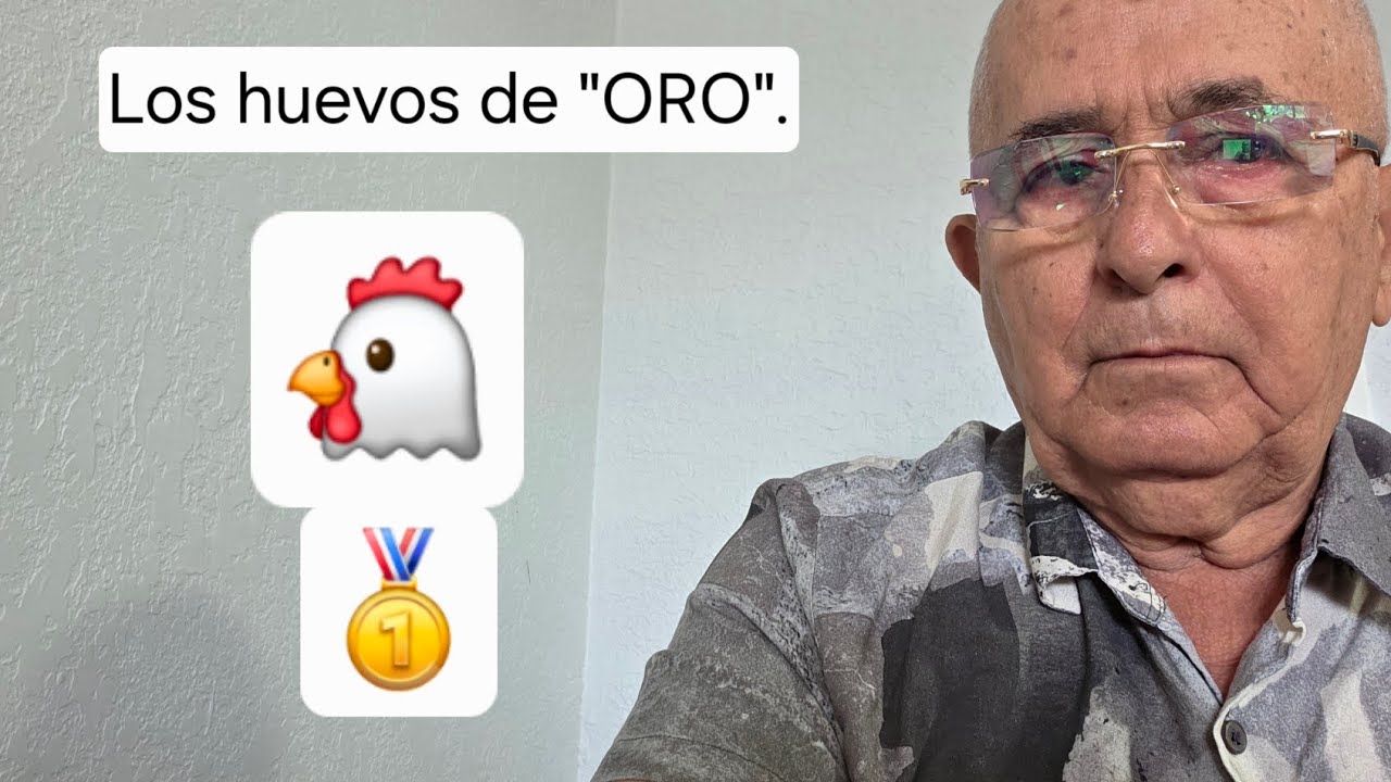 Las gallinas 🐔 de los huevos 🥚de oro.Campeonas mundiales por  precio de los huevos.🐣🐤