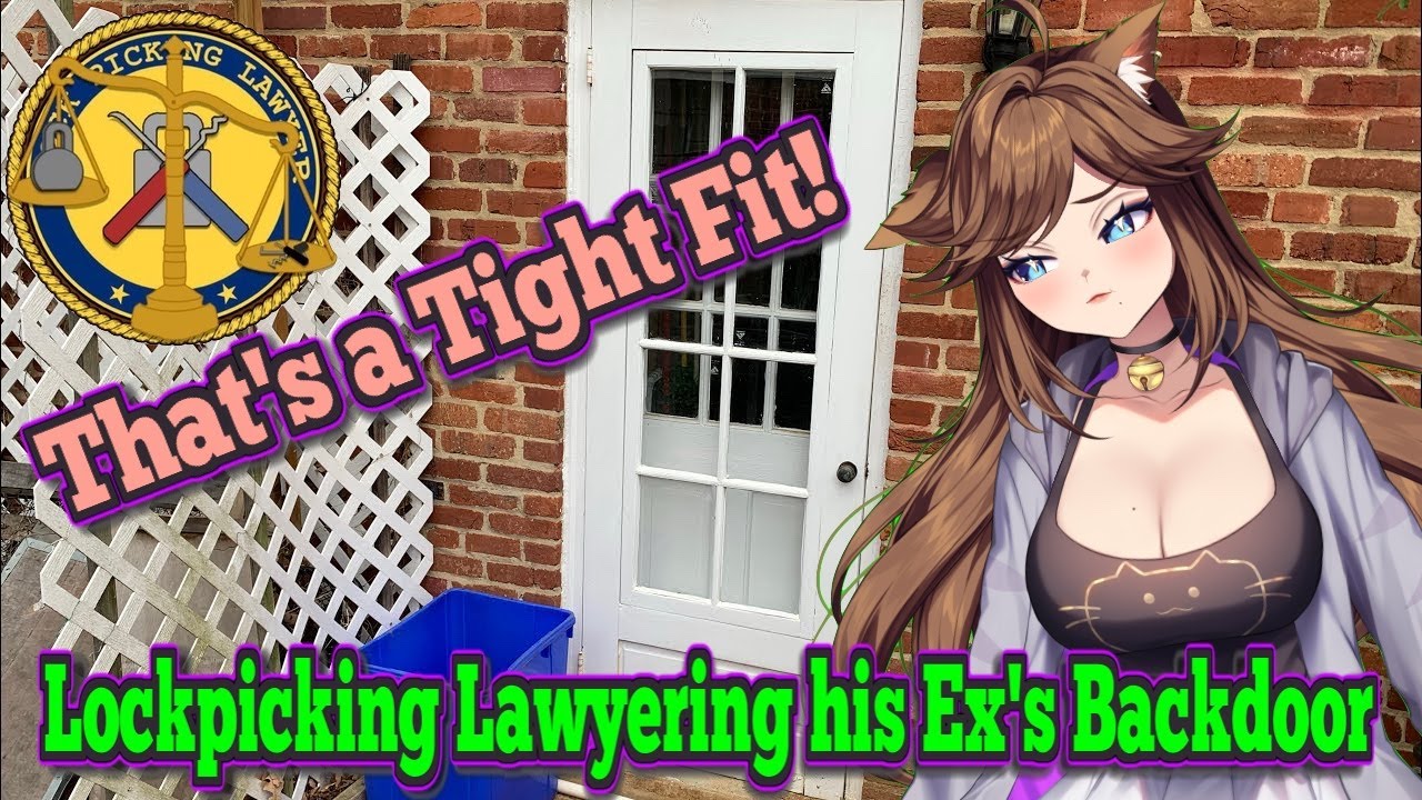 [Lockpicking Lawyer] Getting into His Ex-Girlfriend's Back Door, Reaction