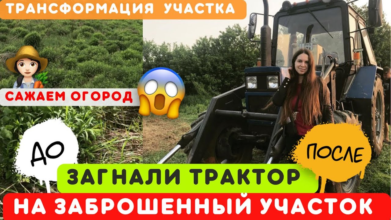 Загнали трактор на заброшенный участок🤯Сажаем огород•Золотарник•Бурьян•Целина•Дача•Дачные будни👩🏻‍🌾