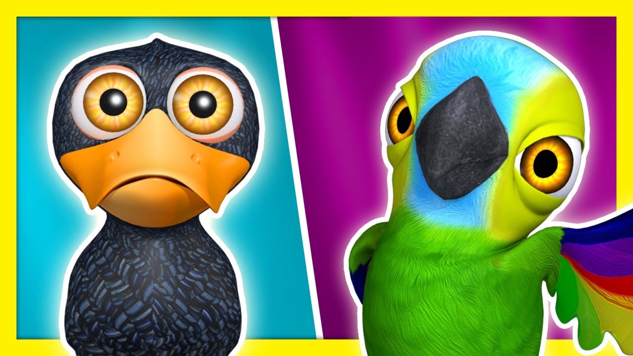 ¿Qué es Diferente? | #01 Seis Patitos | A Jugar