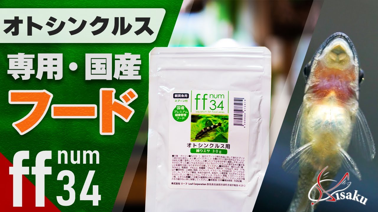 【オトシンクルスを健康に育てよう】食いつき抜群な専用フードを紹介！ 【ff num34 オトシンクルス用練り餌】【アクアリウム 初心者 小型水槽】