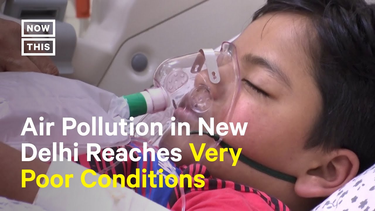 Toxic Smog in India Causes School Shutdowns