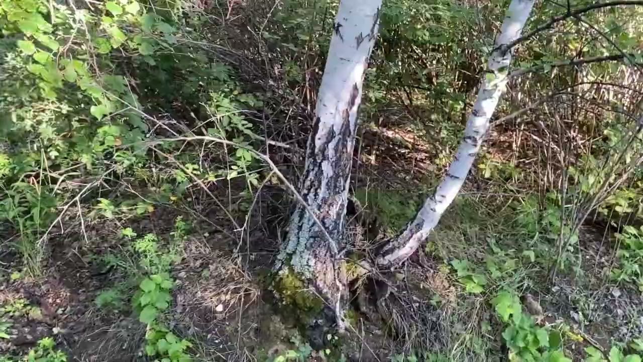 Демидовский рудник по добычи железной руды