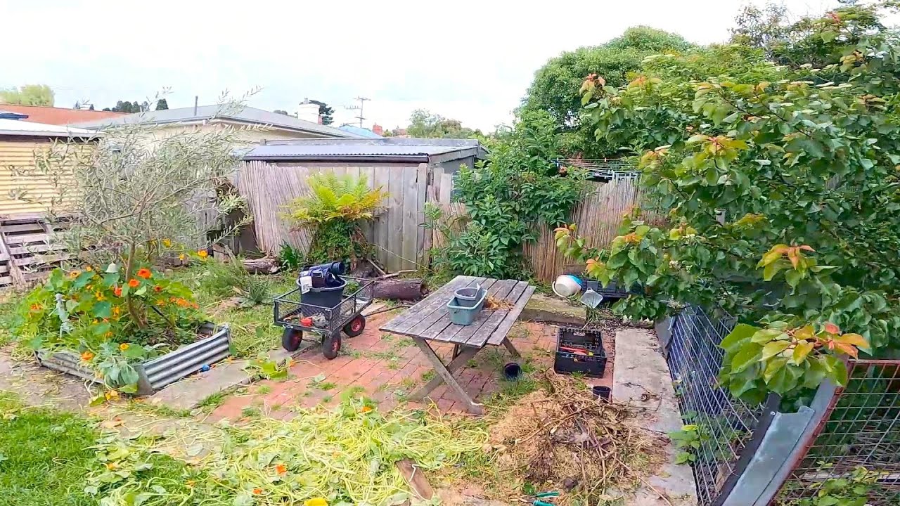 Almighty POST-APOCALYPTIC Garden Restoration!