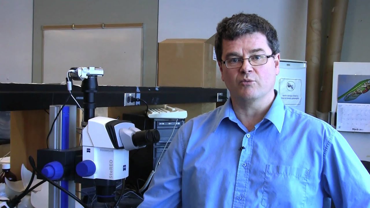 Research Works - Cureus