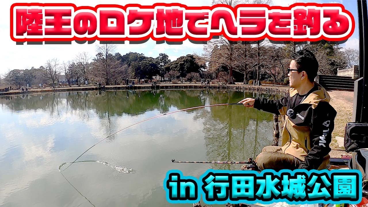 【野釣り】埼玉県行田市の水城公園でヘラブナ釣り！のんびりと釣りを楽しむつもりが…
