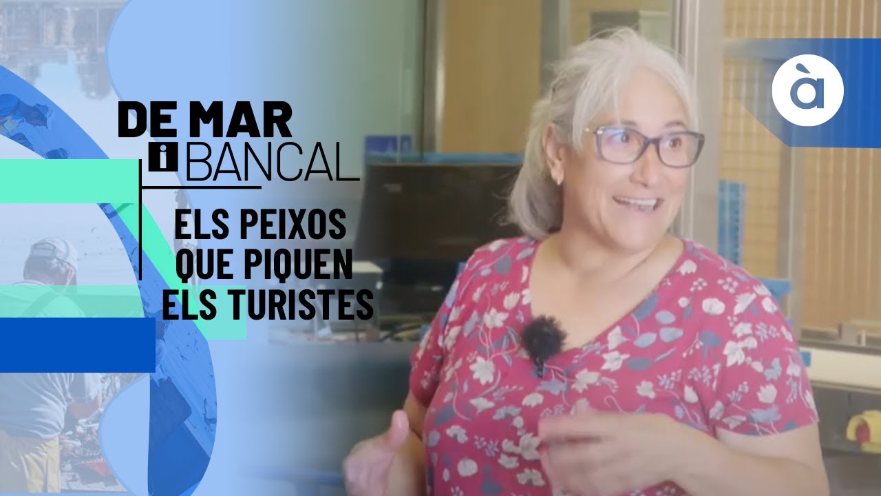 Coneixem els peixos que piquen els turistes amb Carmen, pescadora de Gandia - De mar i bancal