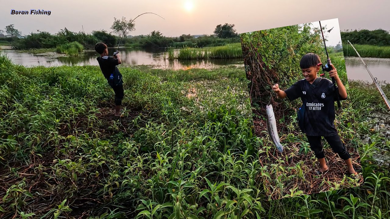Fishing Snakehead fishing in the lake with a boy using live frog bait| ក្មេងទើរៀនលេងបបក់ឌៀបឆ្តោដំបូង