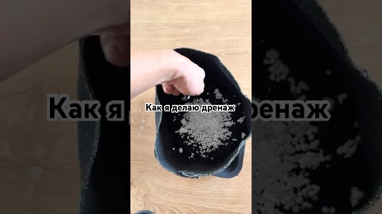 Готовлюсь к новому сезону! Дренаж из пенопласта для идеального роста 🌱