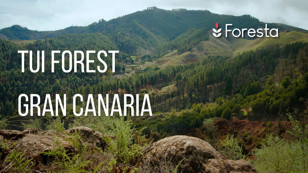 Foresta | Tui Forest Gran Canaria🌳