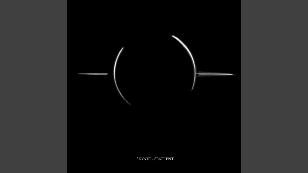 1 Hour DJ Mix Of Sentient Album - Mixed By Skynet (1hr DJ Mix)