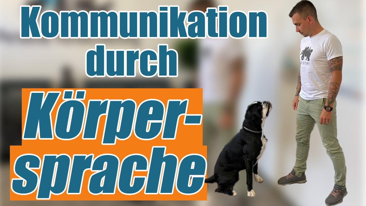Mit Hunden körpersprachlich kommunizieren - wie geht es richtig?