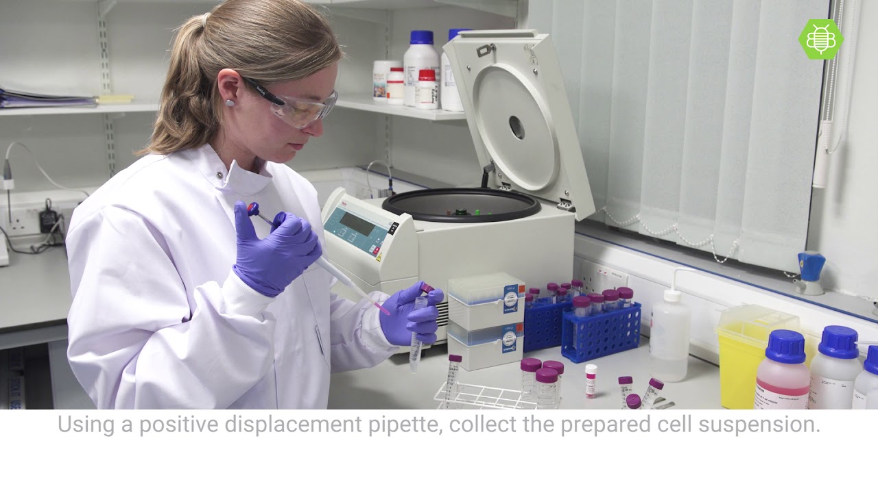 How to perform 3D cell culture