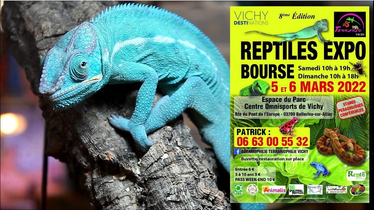 Expo Reptile de Vichy 2022