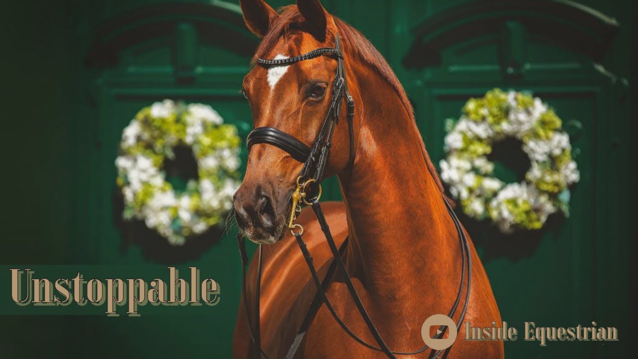 Unstoppable || Equestrian Music Video ||