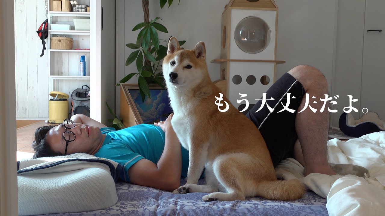 落ち込む柴犬にまさかの救世主登場！状況が一変しました。