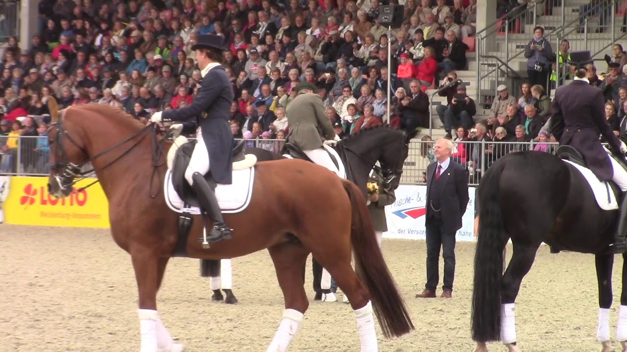 Redefin Hengstparade 2018