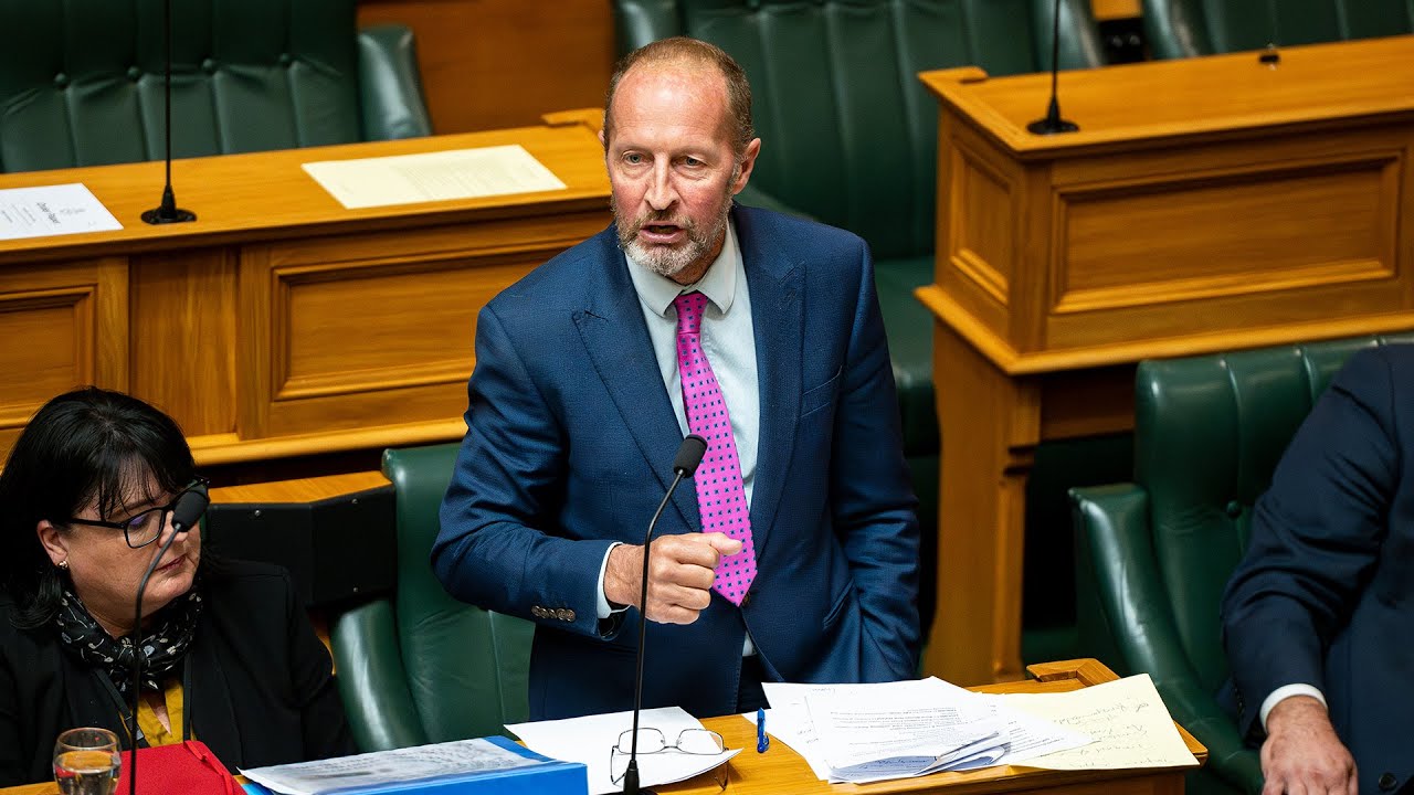 Mark Cameron returns to Parliament to give Chlöe Swarbrick a dressing-down
