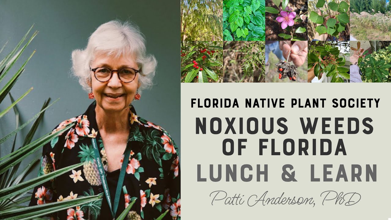 Noxious Weeds of Florida with Patti Anderson, PhD