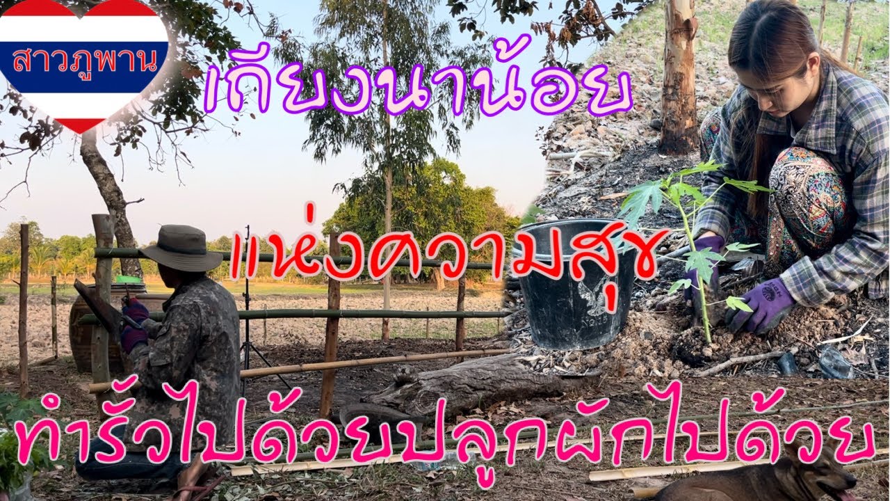 Ep.12ทำรั้วไปด้วยปลูกผักไปด้วยความสุขที่เถียงนาน้อย