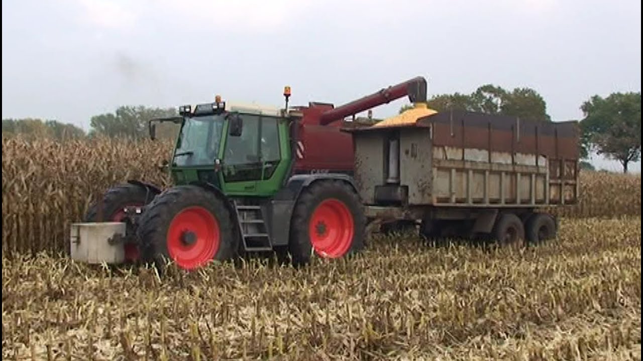 Maïs 2011 | Maïsdorsen | Fendt Xylon | Case International 1620 met 6 rijer Geringhoff plukker