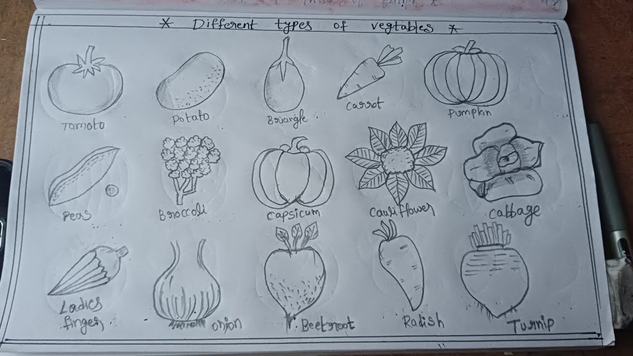 Different types of vegetables.... vegetables drawing easy drawing #vegtables drawing #pencildraw