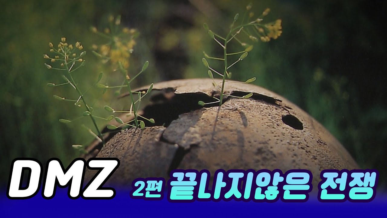 정전60년 다큐멘터리 DMZ 제2편 끝나지않은전쟁 [미래실험] KBS 2013.07.28 방송