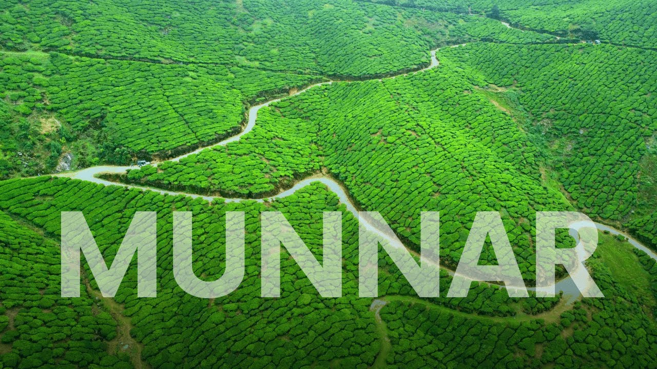Munnar Unveiled: Aerial Views of Enchanting Tea Gardens | Drone Video Kerala, India [4k]