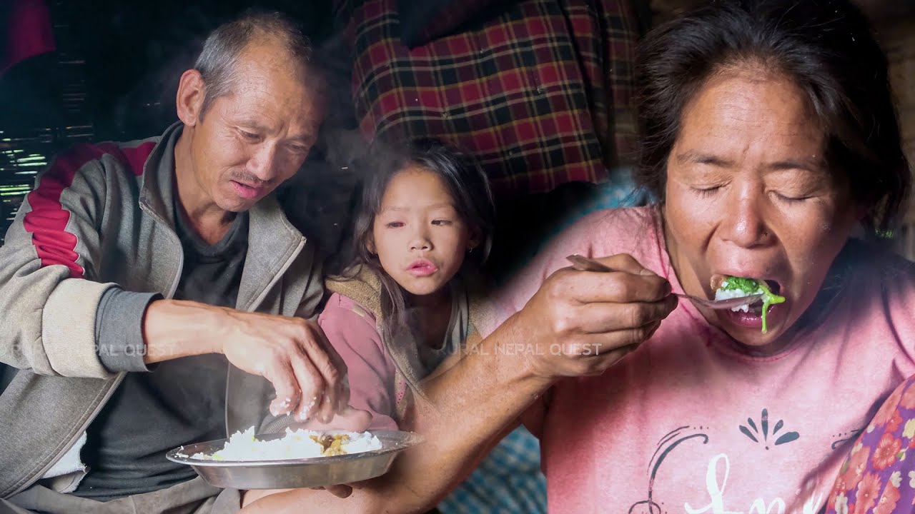 Family in the jungle || Season - 2 || Video -  11 || A family with cows in cowshed || Rural Nepal ||