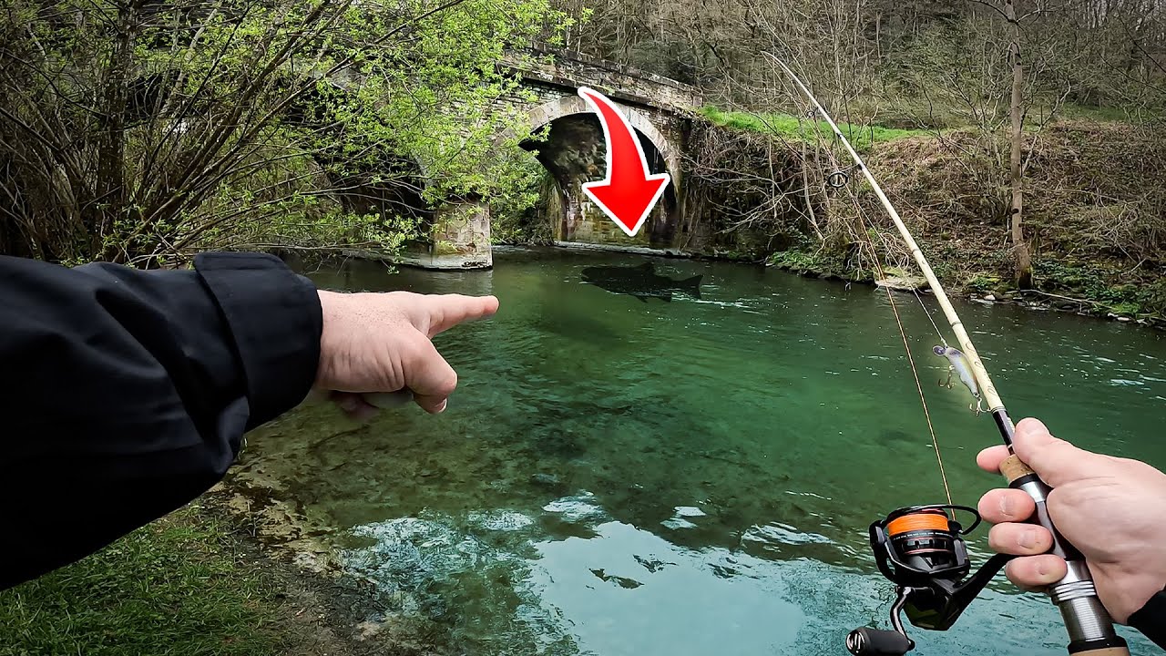 Il y a toujours des poissons ici !!
