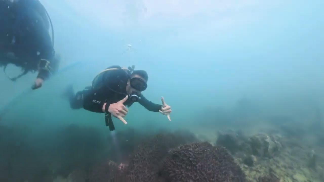 Pulau Hantu, Jong & Kusu | Proof Singapore Diving Isn’t Always Pain 😏