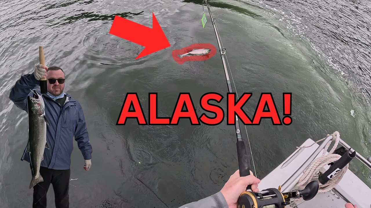KING SALMON FISHING IN THE SALMON CAPITAL OF THE WORLD!!!