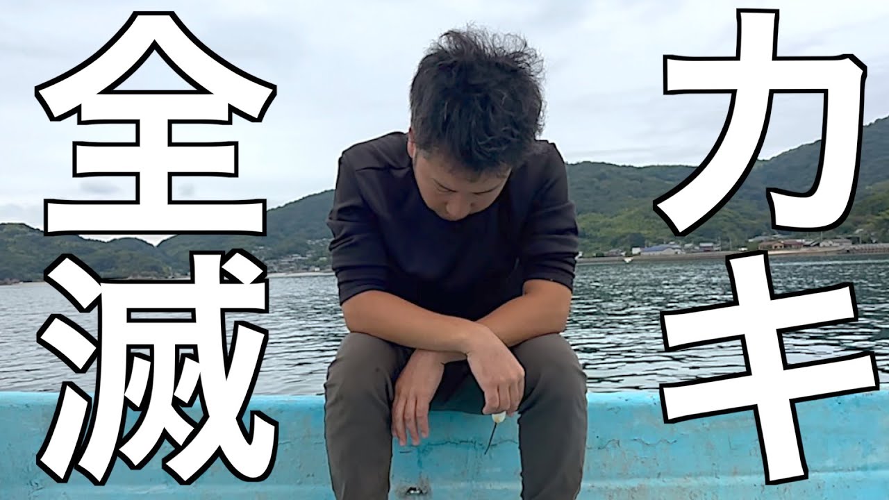 【終了】5000匹の牡蠣が死んでしまいました。